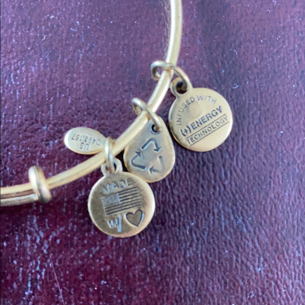 Alex & Ani bracelet w/ FRIEND charm - Picture 3 of 5